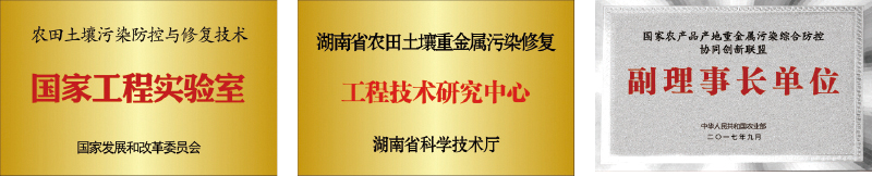 g1.jpg