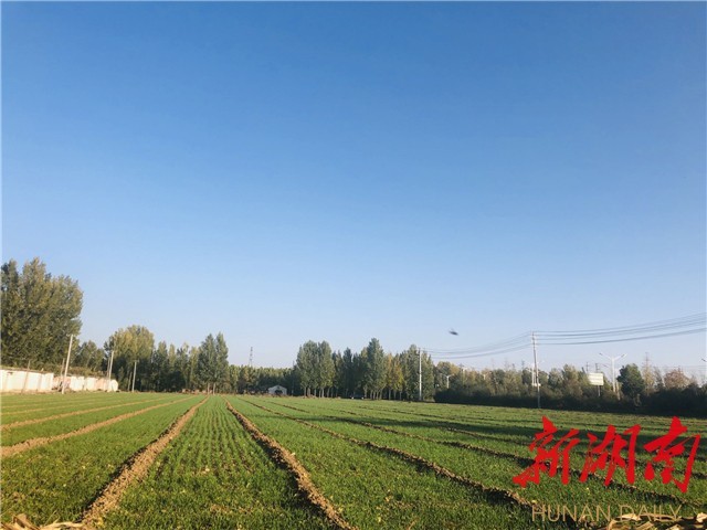 微信图片_20191209105208.jpg