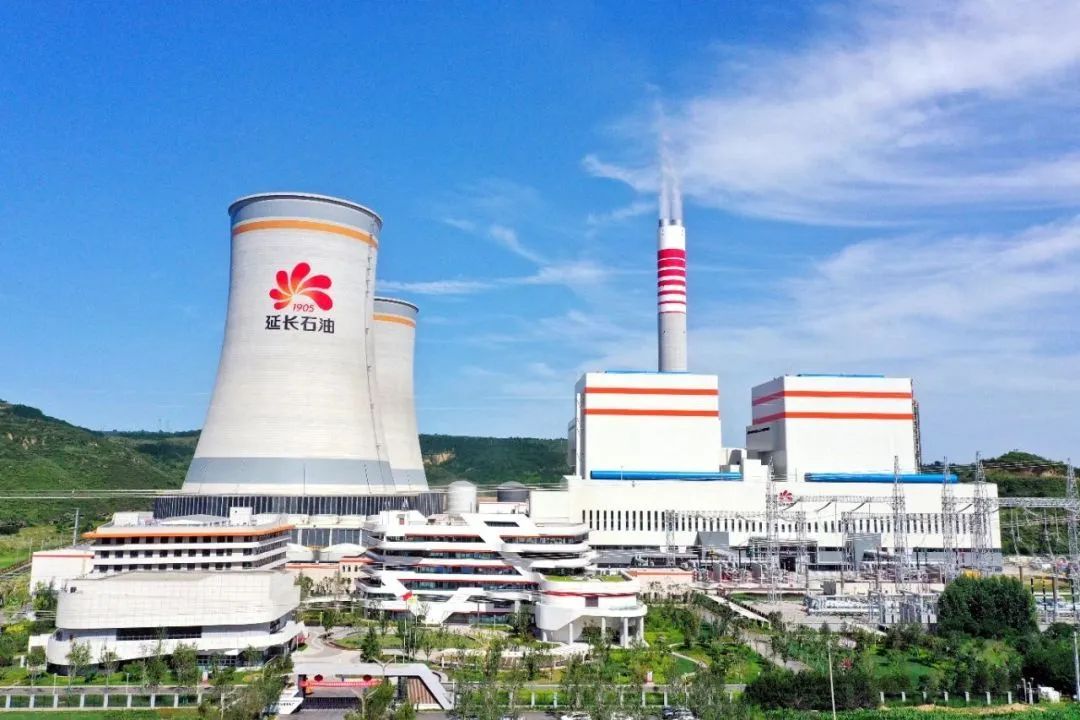 1689132231743836.jpg 1689132231743836.jpg