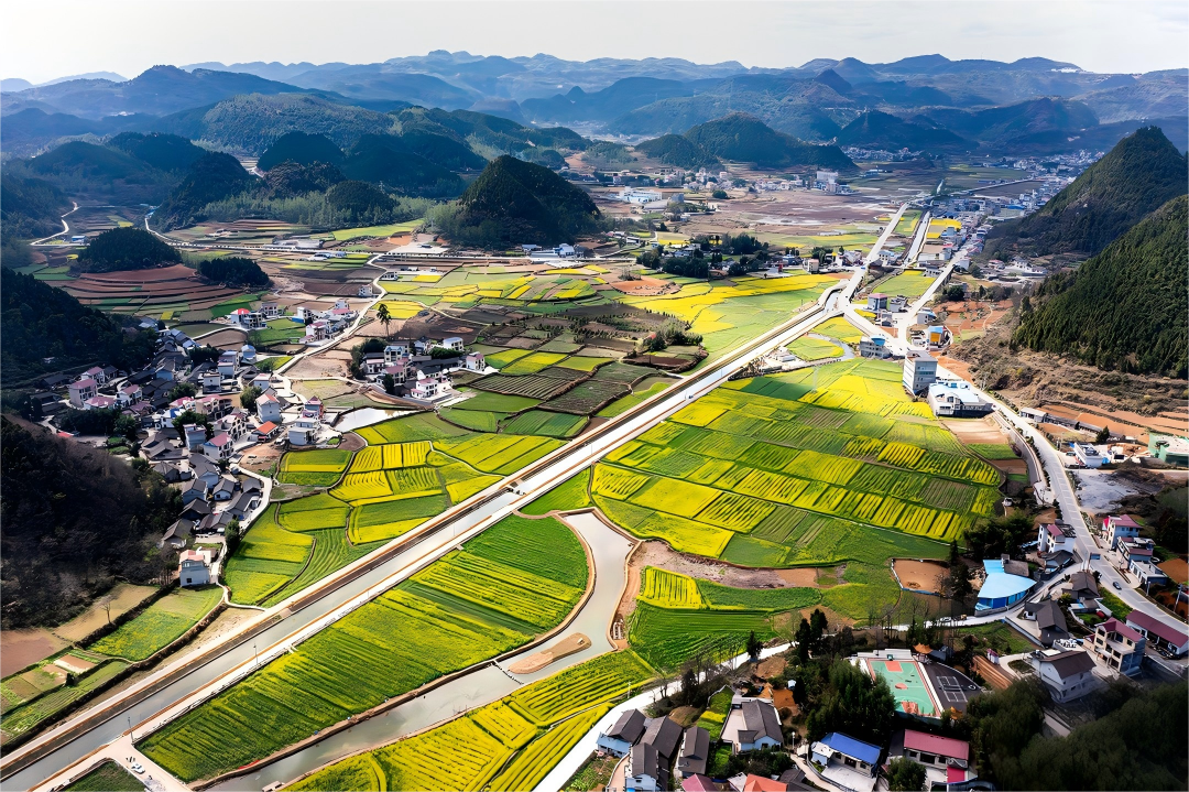 1767920299297160.png 微信图片_2026-01-09_084929_231.png